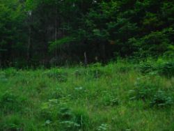 2013-07-20_Regina-F-Rau_Kochel-Rabenkopf (612).JPG